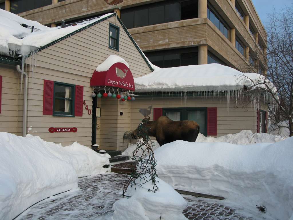 Copper Whale Inn Anchorage Exteriör bild